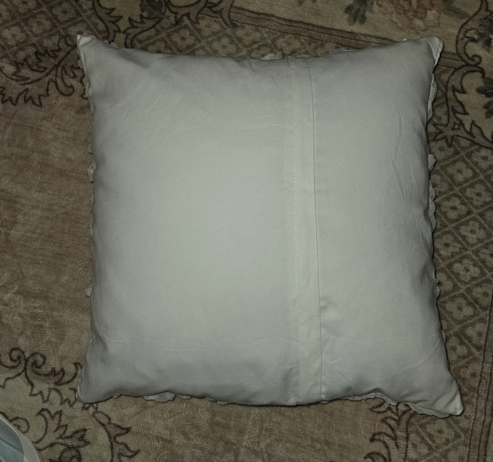 Cost Plus World Market these pillows